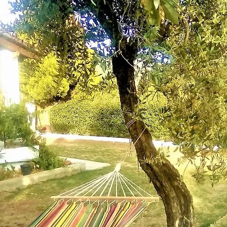 Agrikia In Evia *