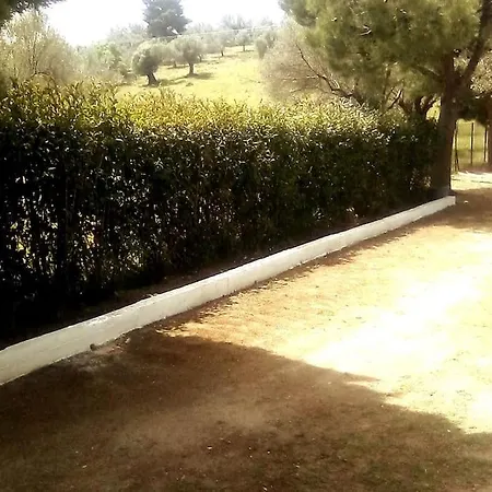 Agrikia In Evia * أمارنثوس
