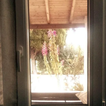 Agrikia In Evia Amarinto