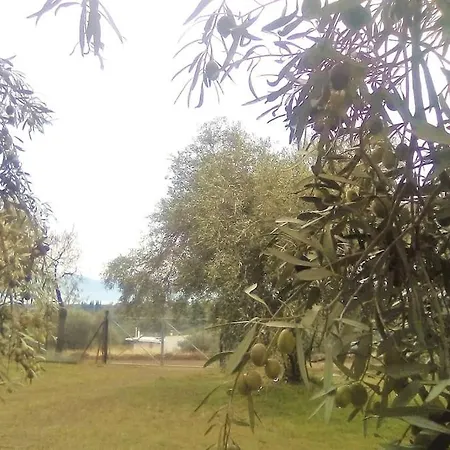 Agrikia In Evia * Amarinto